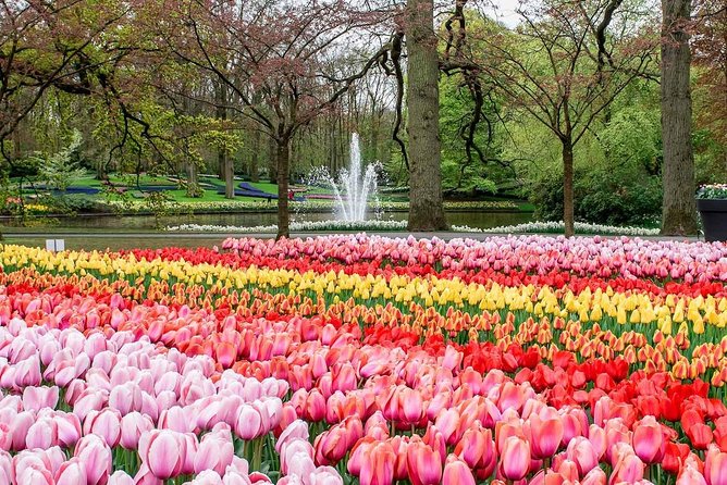 Private Keukenhof Park and Tulip Fields Tour (Skip-The-Line) - The drive from Amsterdam to the Bollenstreek