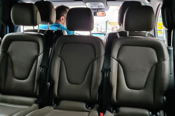 Private Minivan Transfer from Rotterdam - A driver who adds local information