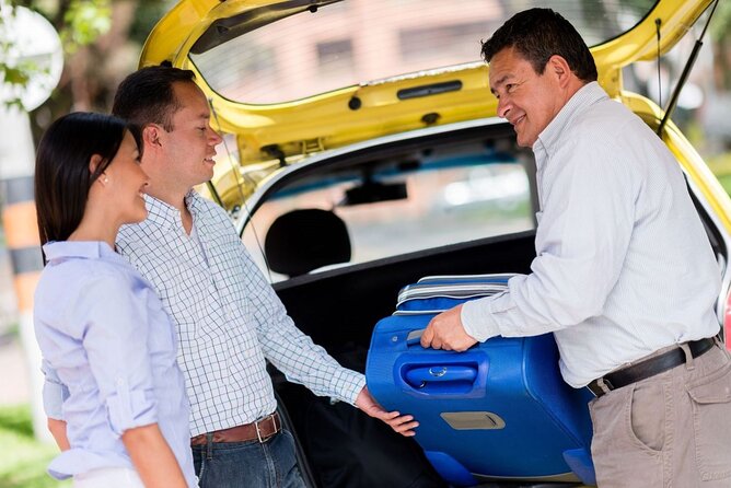 Private One way Transfer Amsterdam Airport to Amsterdam - What happens after you land