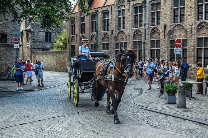 Private sightseeing tour to Bruges and chocolate from Amsterdam - A comfortable private ride from Amsterdam