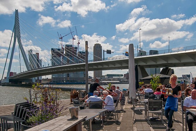 Private Tour: Rotterdam Walking Tour Including Harbor Cruise - Museumpark’s modern architecture cluster
