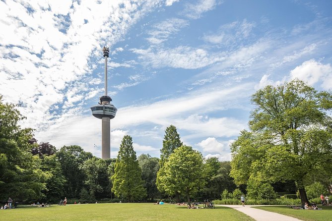 Private Tour: Rotterdam Walking Tour Including Harbor Cruise - Starting at the Zadkine statue