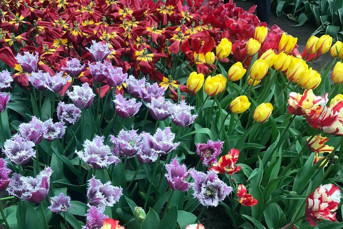 Private Tour to the Keukenhof and Tulip Fields - Guides Dennis and Rudy shape the morning