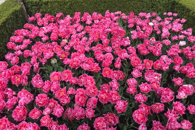 Private Tour to the Keukenhof and Tulip Fields - The $318.70 price and what it really covers