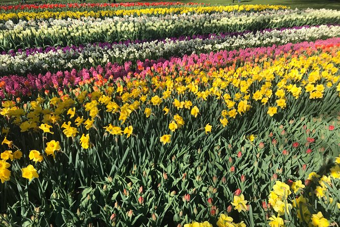 Private Tour to the Keukenhof and Tulip Fields - Pickup, timing, and practical planning