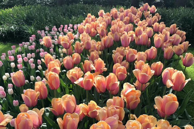 Private Tour to the Keukenhof and Tulip Fields - De Tulperij for a farm stop and a relaxed break