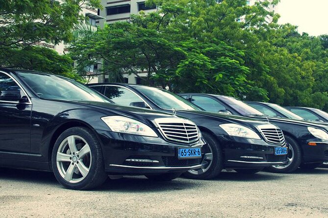 Private Transfer from The Hague City to Schiphol Airport - Leaving The Hague without hauling your bags