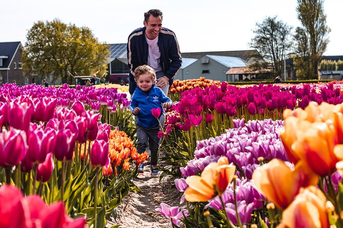 Private Tulip Fields, Windmills and Cheese Tour from Amsterdam - The clog demonstration is quick and practical