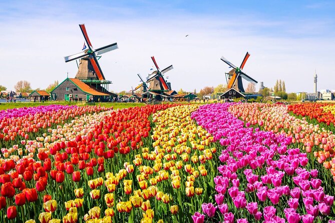 Private Zaanse Schans & Volendam Tour: Windmills, Cheese & Clogs - What the $341.53 price really buys you