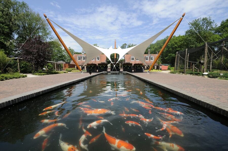 Rhenen: Ouwehands Zoo Entry Ticket - Why the pandas deserve your first stop