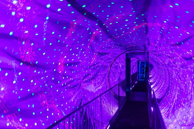 Ripley's Believe It or Not! Amsterdam Admission Ticket - How long should you allow?