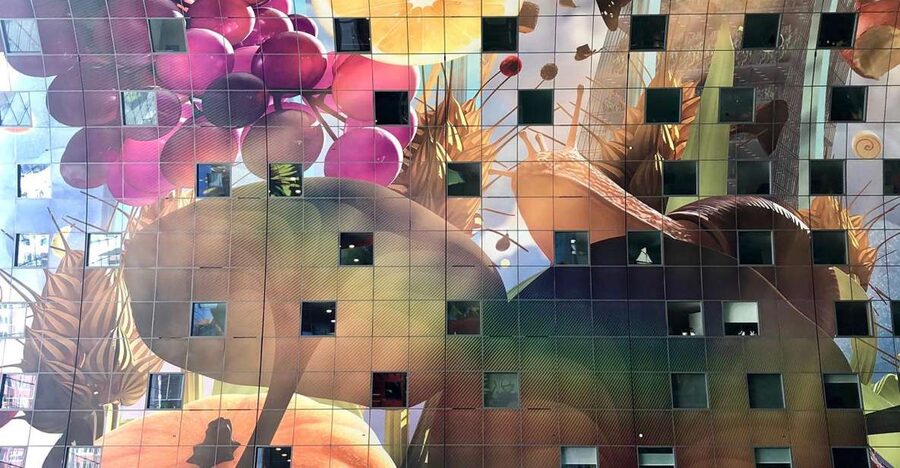 Rotterdam Architecture: Centre and South Bank with watertaxi - Key points to know before booking