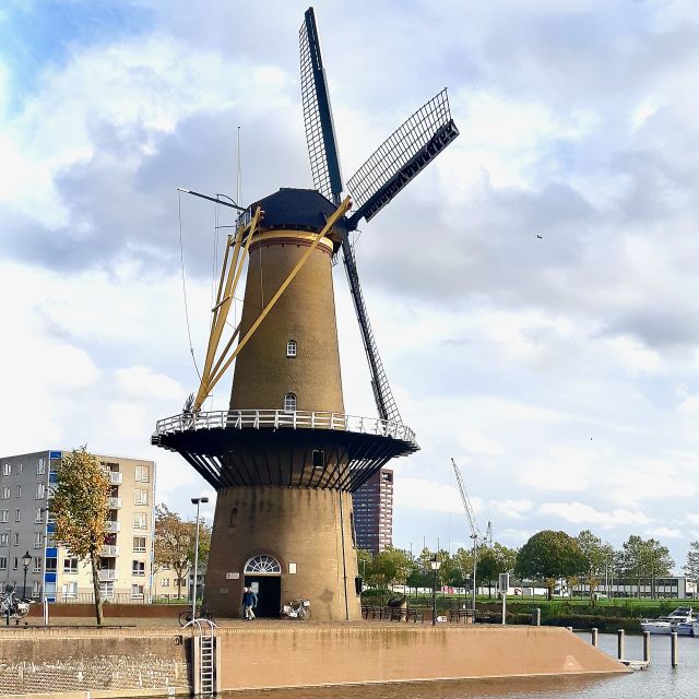Rotterdam: Breweries and Water Taxi Tour - Starting beneath the Markthal