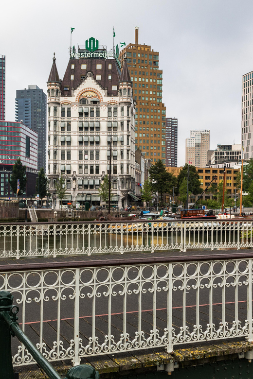 Rotterdam: City Center Walking Tour - Key points at a glance