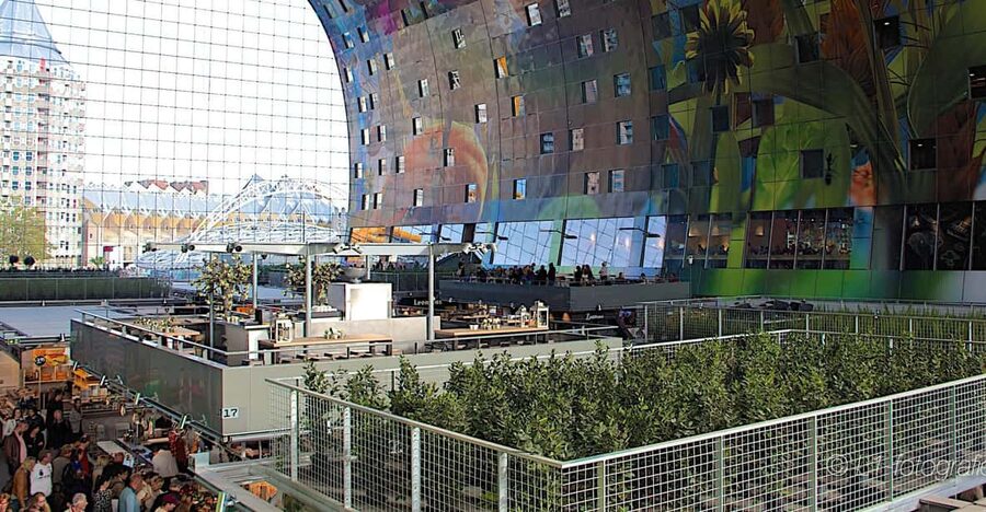 Rotterdam: City Center Walking Tour - Why Rotterdam works best on foot