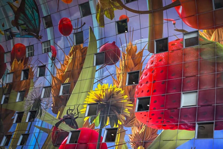 Rotterdam: Highlights & Gems Walking Tour with Dutch Local - What $46 buys you