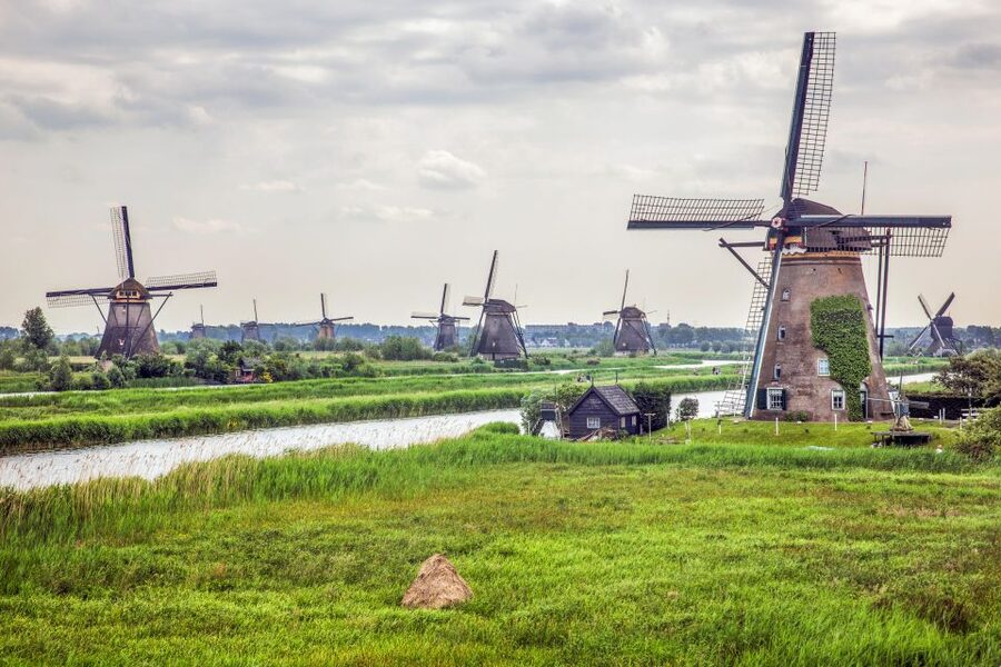 Rotterdam: Kinderdijk UNESCO World Heritage Entry Ticket - Seeing miller life at Nederwaard