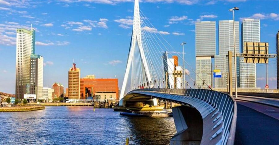 Rotterdam: Private Custom Walking Tour with Local Guide - What the Rotterdam walk is like