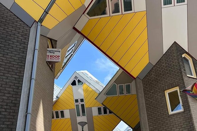 Rotterdam: Private Tour with Local Guide + Cube House visit - Laurenskerk, Erasmus, and the wartime break