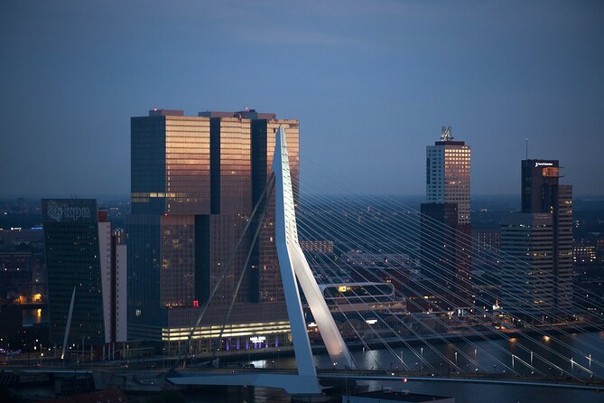 Rotterdam Private Walking Tour with a Local - The local-guide advantage