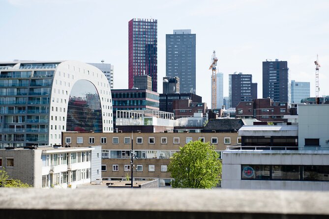 Rotterdam Rooftop tour - DakAkker, where a roof becomes a farm