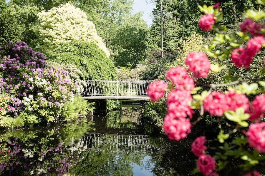 Rotterdam: Trompenburg Botanical Gardens Entry Ticket - A Quiet Corner of Rotterdam in Kralingen
