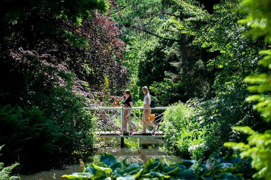 Rotterdam: Trompenburg Botanical Gardens Entry Ticket - Seasonal Flowers, Shrubs, and Lower Planting