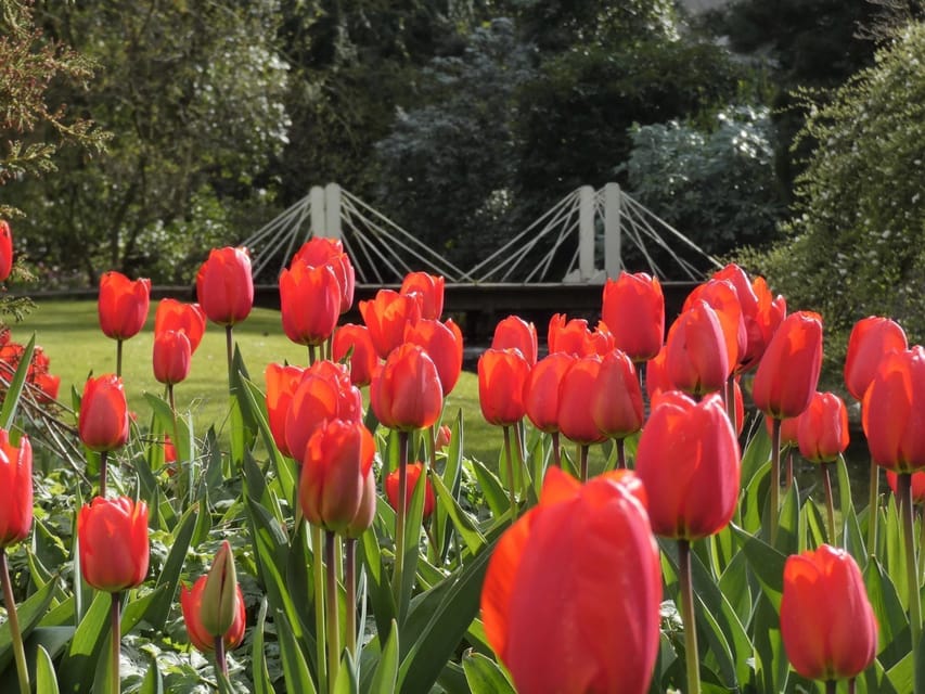 Rotterdam: Trompenburg Botanical Gardens Entry Ticket - Sunday Afternoon Programs