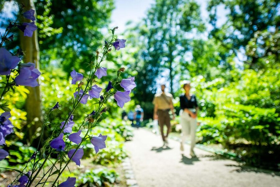 Rotterdam: Trompenburg Botanical Gardens Entry Ticket - What the $15 Ticket Gets You
