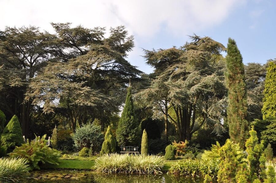Rotterdam: Trompenburg Botanical Gardens Entry Ticket - Accessibility and Planning Your Visit