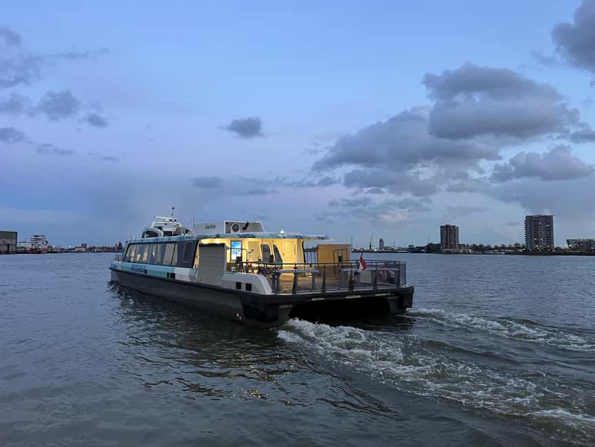 Rotterdam: Waterbus Ticket to Dordrecht and/or Kinderdijk - The Biesbosch option for a more active day