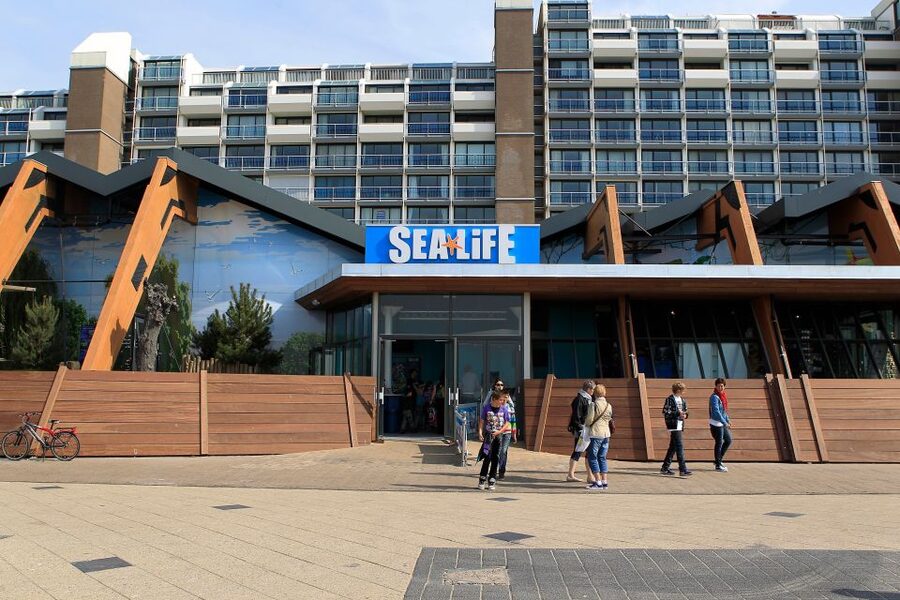 Scheveningen, The Hague: Sea Life Entry Ticket - How much time should you allow?