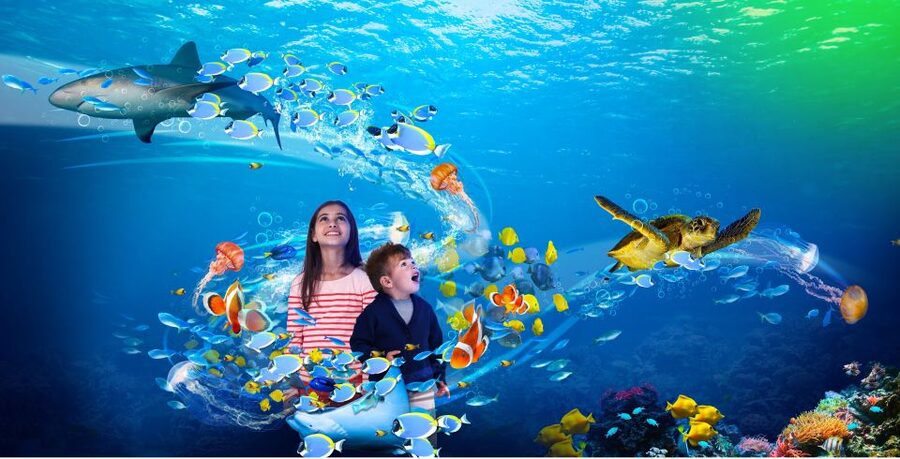 Scheveningen, The Hague: Sea Life Entry Ticket - Is the $24 ticket good value?