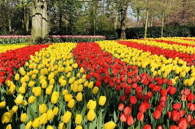 Skip-the-Line Keukenhof Gardens and Tulip Fields Tour from Amsterdam - About three hours to explore at your own speed