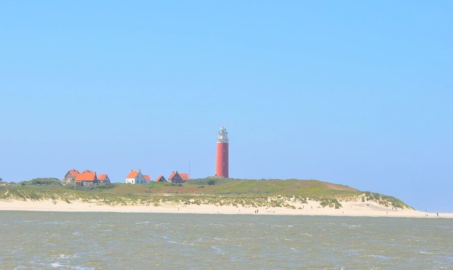 Small group full day island tour to Texel from Amsterdam - Timing, comfort, and practical limits