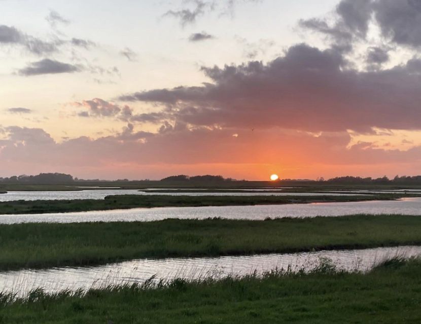 Small group full day island tour to Texel from Amsterdam - Den Burg and the village stop