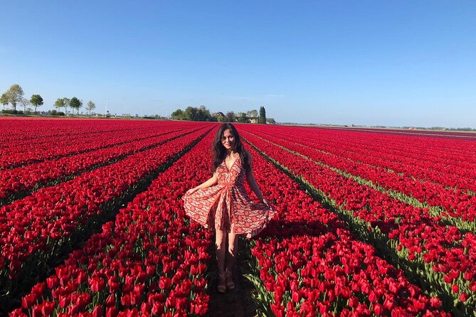 Small Group Keukenhof and Delft Guided Tour from Amsterdam - Key points at a glance