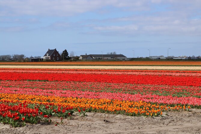 Small Group Keukenhof and Delft Guided Tour from Amsterdam - From Amsterdam to Keukenhof before the crowds build