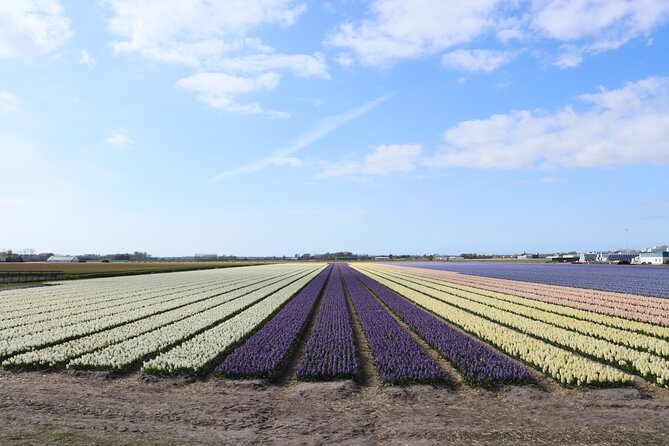 Small Group Keukenhof and Delft Guided Tour from Amsterdam - Delft brings canals, Vermeer, and a slower pace