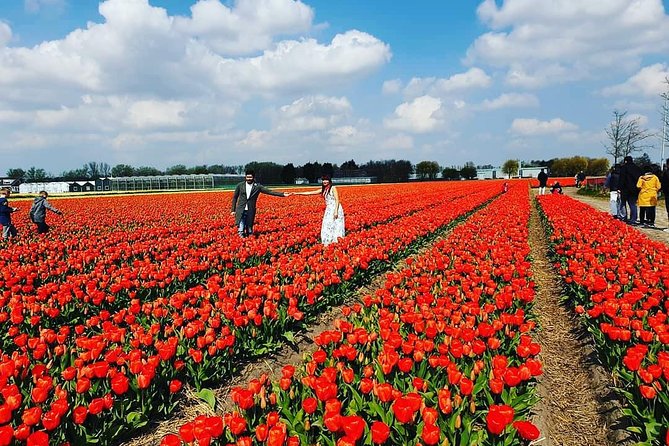 Small Group Keukenhof and Delft Guided Tour from Amsterdam - What the small-group minivan means in practice