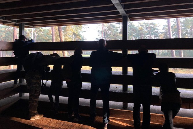 Small Group Tour to NP Hoge Veluwe (van Gogh) from Amsterdam - What the small group adds