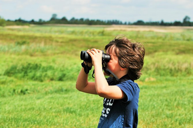 Small Group Tour to NP Hoge Veluwe (van Gogh) from Amsterdam - Who should book this day trip?