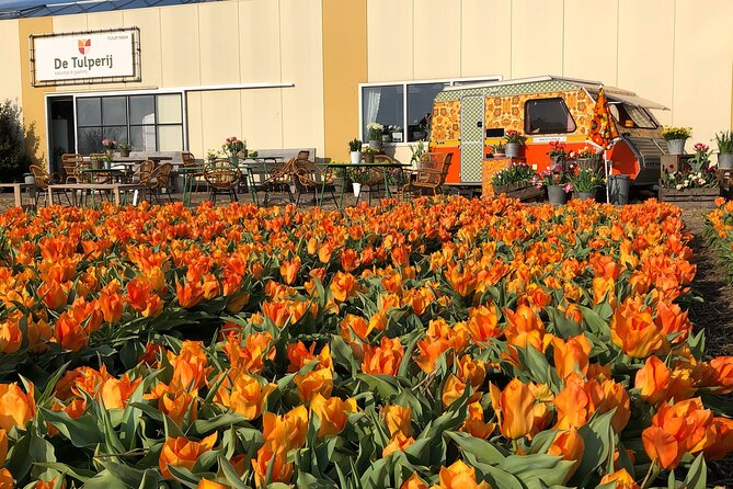 Taking Pictures in the Tulip Field at De Tulperij - Forty-five minutes to find your best photo