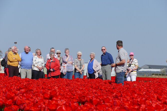 Taking Pictures in the Tulip Field at De Tulperij - Who will enjoy this most?