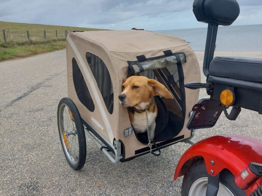 Texel: E-Scooter Rental - Choosing a route for three hours