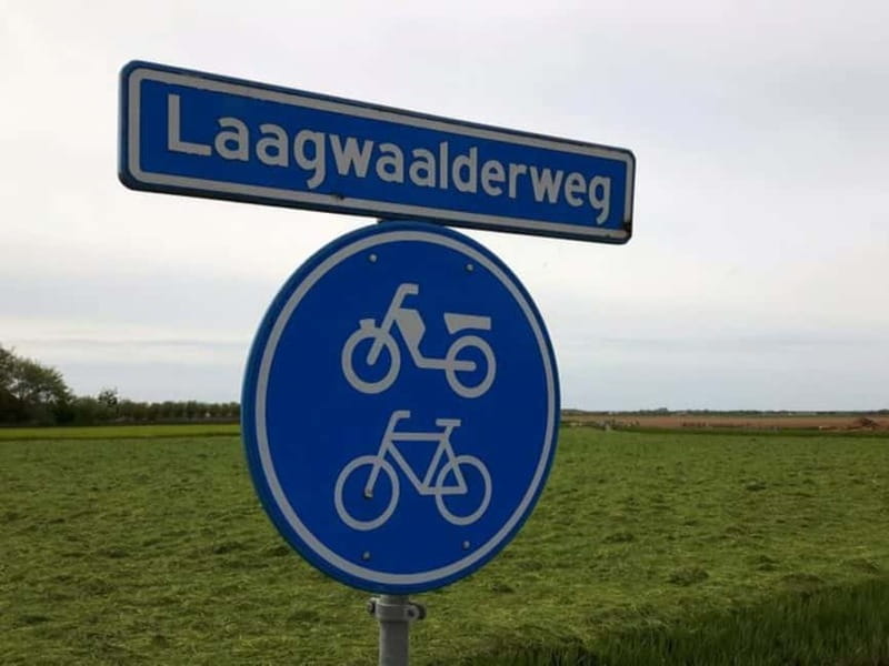 Texel: Electric Fatbike Rental with Map - Who will enjoy this rental most