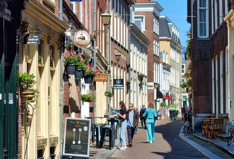 The Hague: City Walking Tour - Timing, weather, and walking comfort