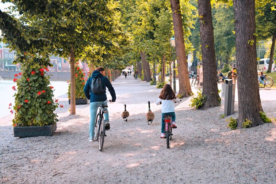 The Hague: Highlights Bike Tour - Starting behind the grey garage door