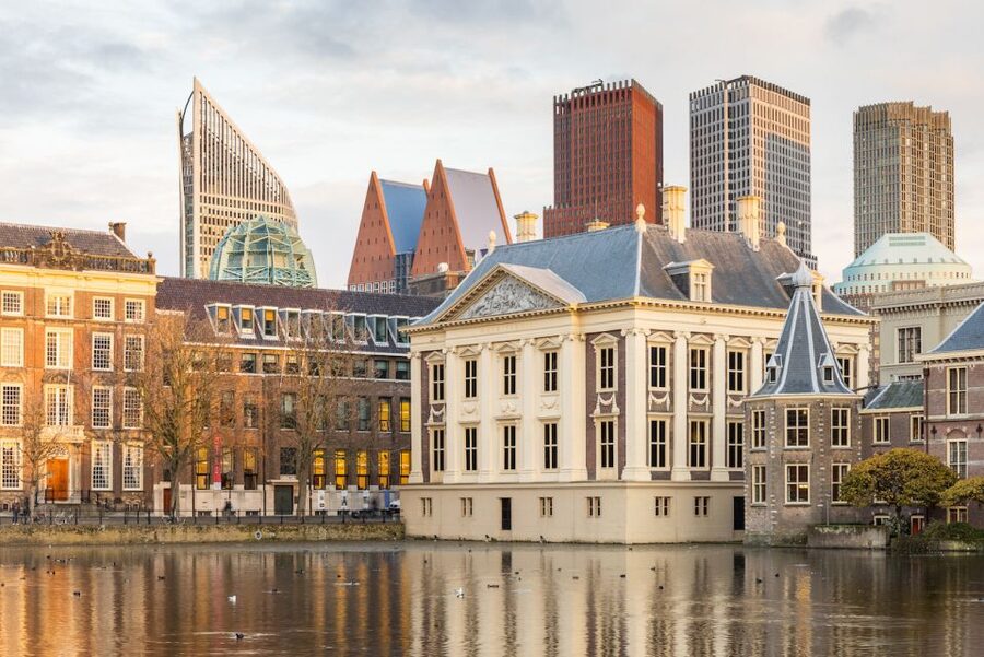 The Hague: Mauritshuis Entrance Ticket - Who should buy this ticket?