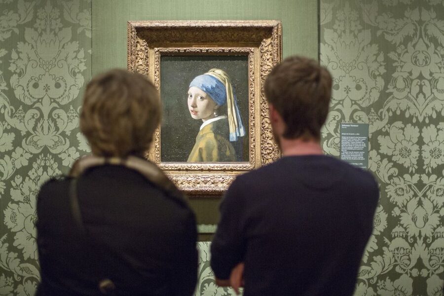 The Hague: Mauritshuis Entrance Ticket - Rembrandt, Fabritius, and the museum’s strongest rooms